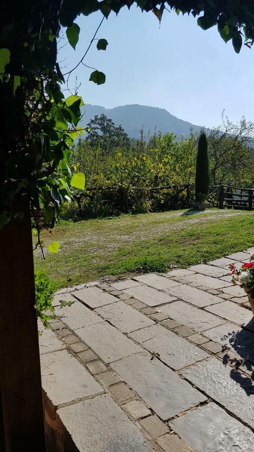 Alla Battuta Sansepolcro Buitenkant foto